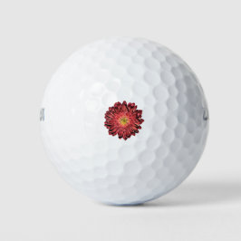 Pelotas De Golf redgerberadaisyRed Gerbera Daisy