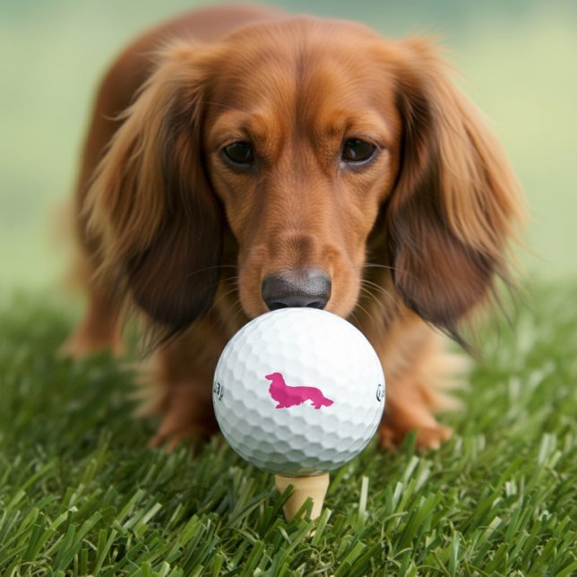 Pelotas De Golf Regalo de oro rosado de pelo largo Dachshund (pink long hair dachshund golf balls)
