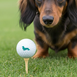 Pelotas De Golf Regalo de oro Verde azulado de Long Hair Dachshund