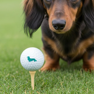 Pelotas De Golf Regalo de oro Verde azulado de Long Hair Dachshund