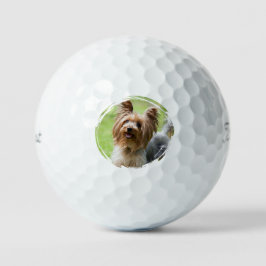 Pelotas De Golf Regalo personalizable para padres de mascotas aman