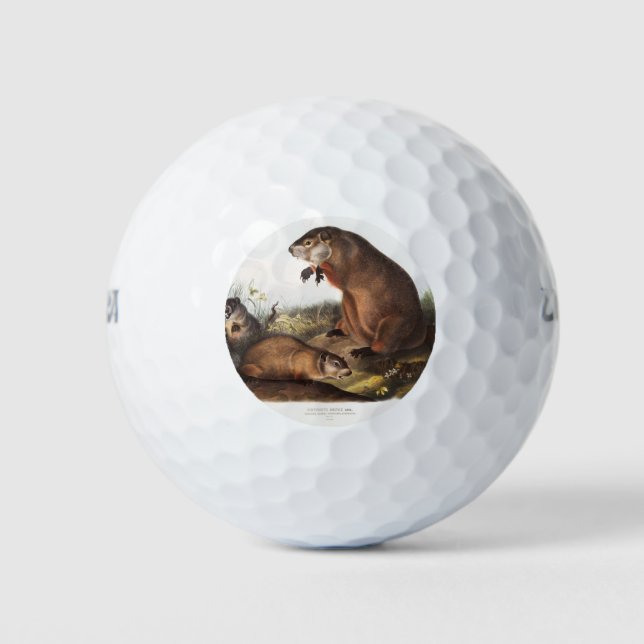 Pelotas De Golf Regalos Woodchuck Camping Deco (Anverso)