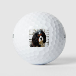 Pelotas De Golf Retrato De Un Rey Charles Cavalier Spaniel