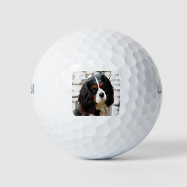 Pelotas De Golf Retrato De Un Rey Charles Cavalier Spaniel (Anverso)