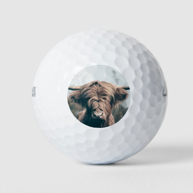 Pelotas De Golf Retrato de vaca Highland (Anverso)