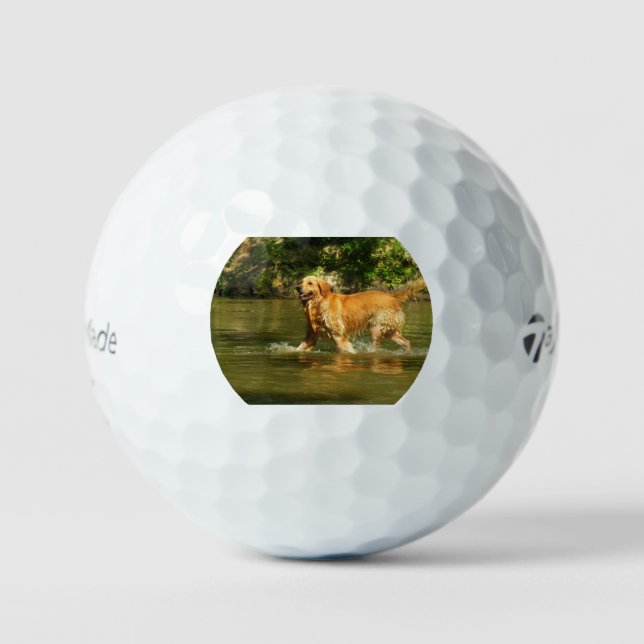 Pelotas De Golf retriever-dorado-en agua (Anverso)