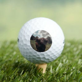 Pelotas De Golf Retro vintage de vacas de raza negra escocesa