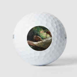 Pelotas De Golf Reverie (de Ipolit Strâmbu)