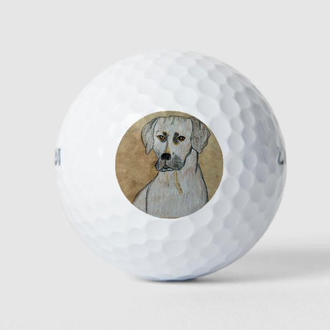 Pelotas De Golf Rhodesian Ridgeback (Anverso)