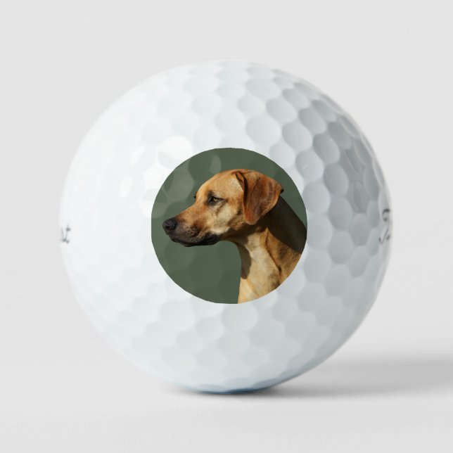 Pelotas De Golf Rhodesian Ridgeback (Anverso)