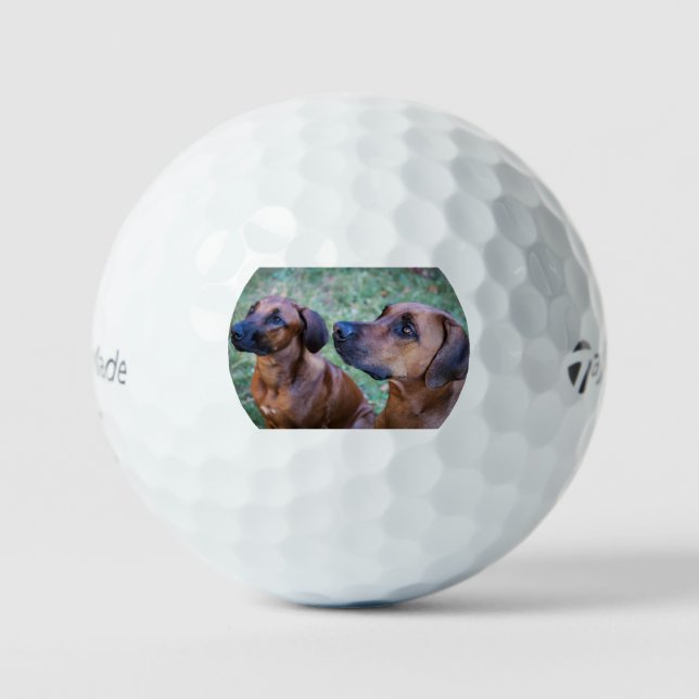 Pelotas De Golf rhodesian-ridgeback-group (Anverso)