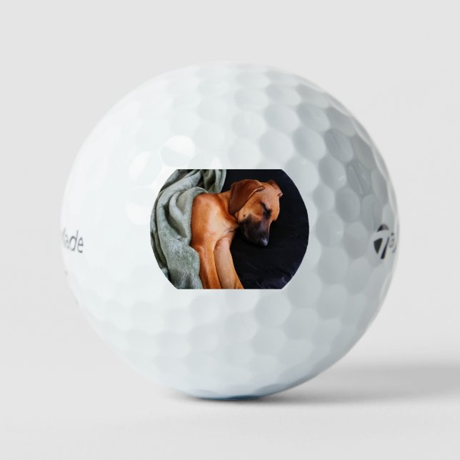 Pelotas De Golf rhodesian-ridgeback-snuggy (Anverso)