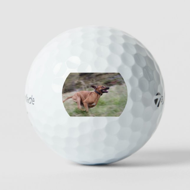Pelotas De Golf ridgeback corriendo 2 (Anverso)