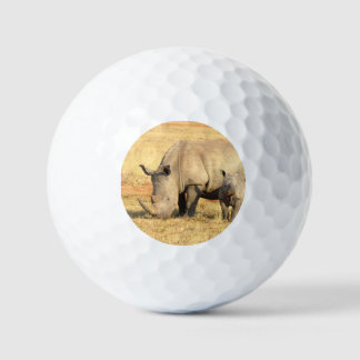 Pelotas De Golf Rinoceronte lindo en África