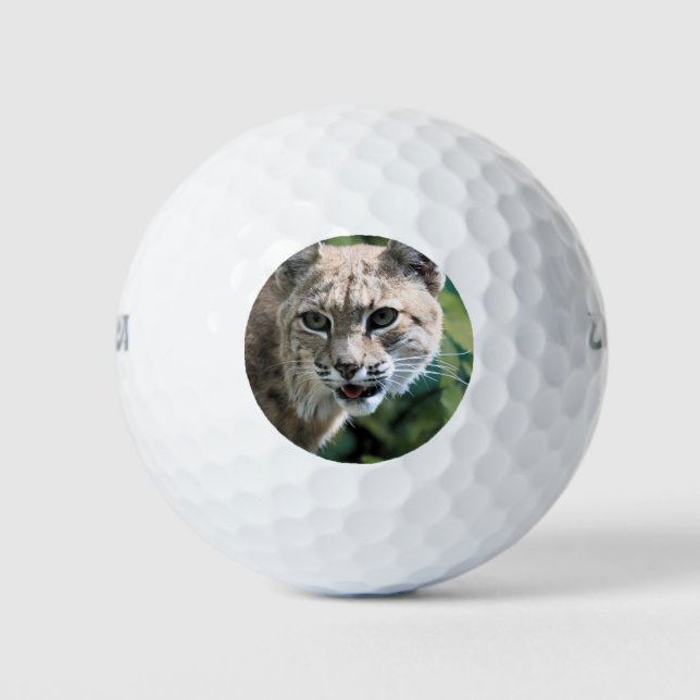 Pelotas De Golf Robert J. Bobcat (Anverso)
