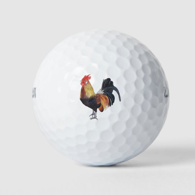 Pelotas De Golf Rooster sobre el Ilustracion blanco - mano dibujad (Anverso)