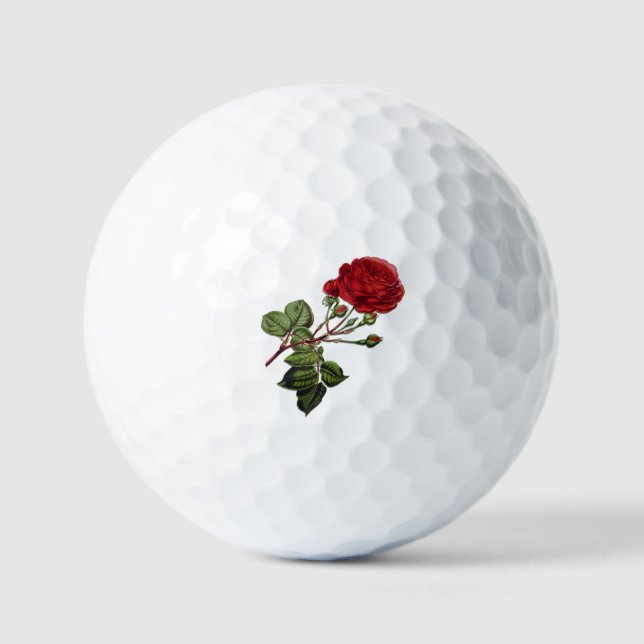 Pelotas De Golf Rosa Red Long Stem (Anverso)