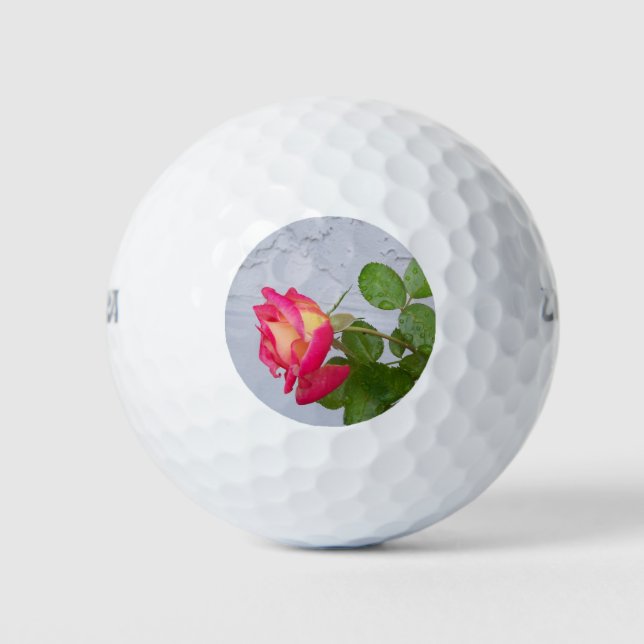 Pelotas De Golf Rosa y pared de estuco gris (Anverso)