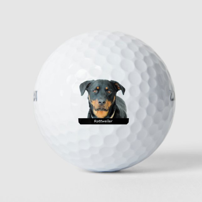 Pelotas De Golf Rottweiler (Anverso)