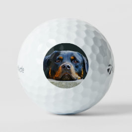 Pelotas De Golf Rottweiler
