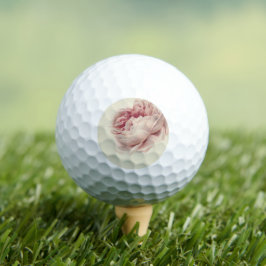 Pelotas De Golf Roze Roos (1792) - Arte botánico de época
