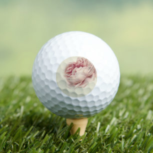 Pelotas De Golf Roze Roos (1792) - Arte botánico de época