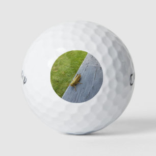 Pelotas De Golf Saltamontes