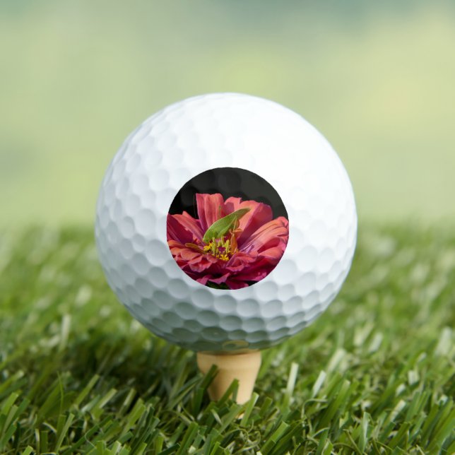 Pelotas De Golf Saltamontes en Zinnia (Camiseta in situ)