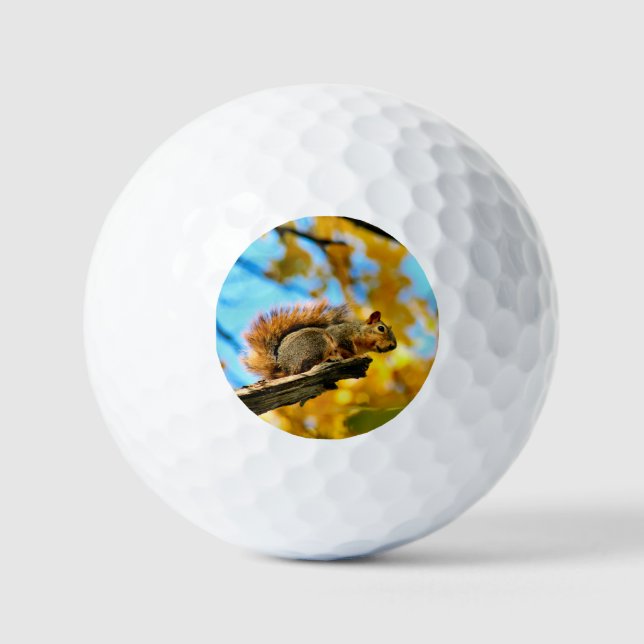 Pelotas De Golf Salto (Anverso)