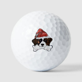 Pelotas De Golf San Bernardo