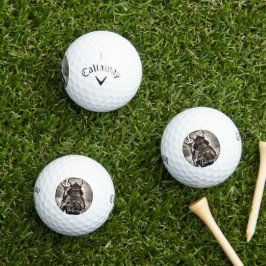 PELOTAS DE GOLF SANADA YUKIMURA ゴルフボール