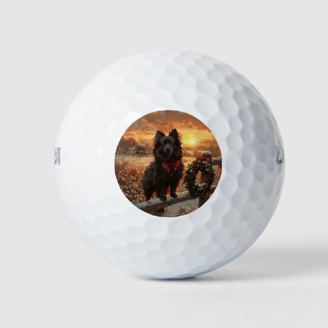 Pelotas De Golf Schipperke Dog Rustic Winter Sunset (Anverso)