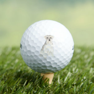 Pelotas De Golf Schnauzer blanco y gris