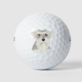 Pelotas De Golf Schnauzer blanco y gris