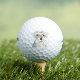 Pelotas De Golf Schnauzer blanco y gris