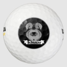 Schnauzer blanco y negro