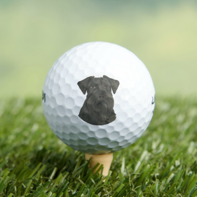 Pelotas De Golf Schnauzer negro personalizado (Camiseta in situ)