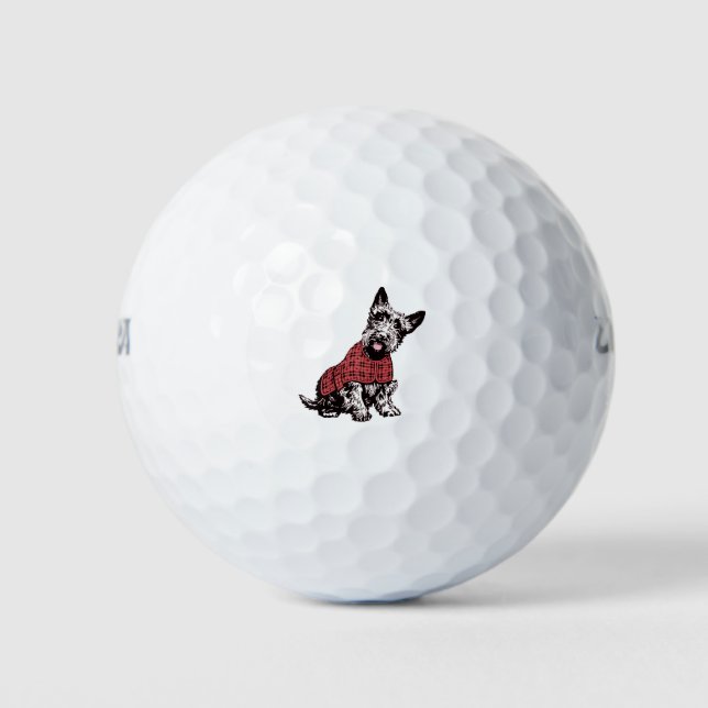 Pelotas De Golf Scotty Dog (Anverso)