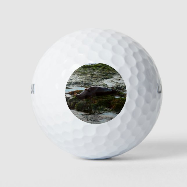 Pelotas De Golf Sello de puerto de luz solar II en San Diego (Anverso)