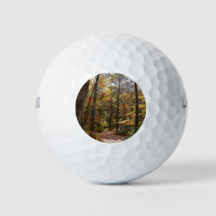 Pelotas De Golf Sendero Sunlit Fall en el Parque Estatal Laurel Hi
