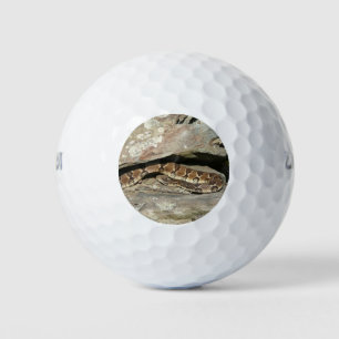 Pelotas De Golf Serpiente de cascabel en el Parque Nacional Shenan