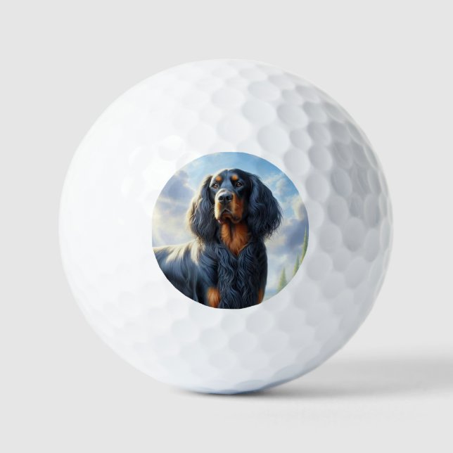 Pelotas De Golf Setter Gordon (Anverso)