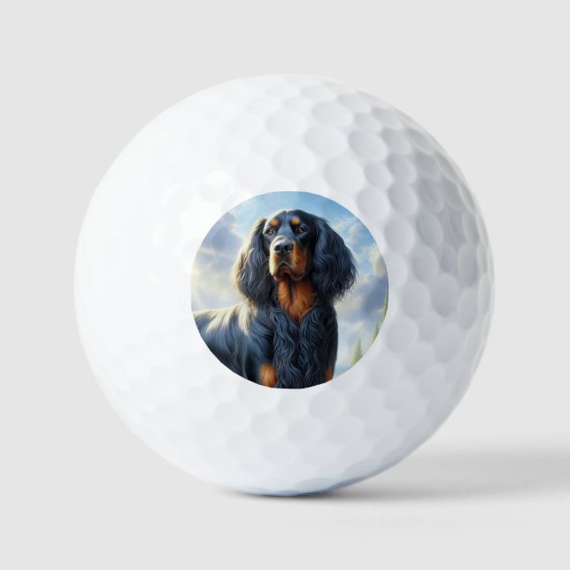Pelotas De Golf Setter Gordon (Anverso)