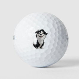 Pelotas De Golf Sheepdog Border Collie Golf Balls