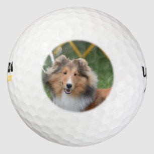 Pelotas De Golf Sheltie
