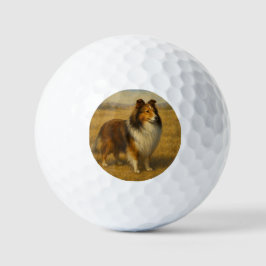 Pelotas De Golf Shetland Sheepdog