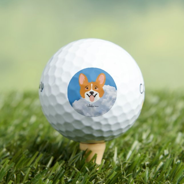 Pelotas De Golf Shiba inu con Sky Golf Balls (Camiseta in situ)