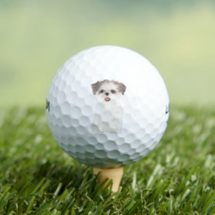 Pelotas De Golf Shih Tzu marrón y blanco