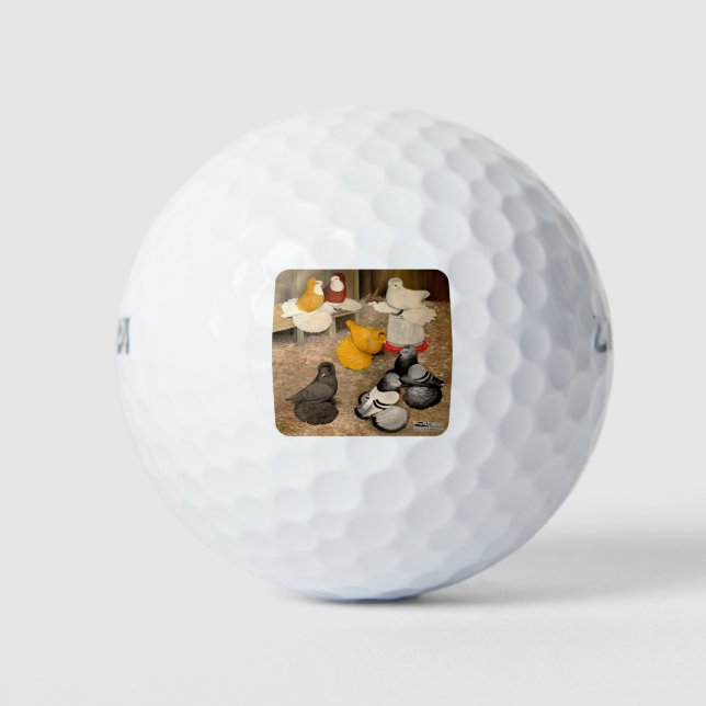 Pelotas De Golf Siete palomas de Trumpeter (Anverso)