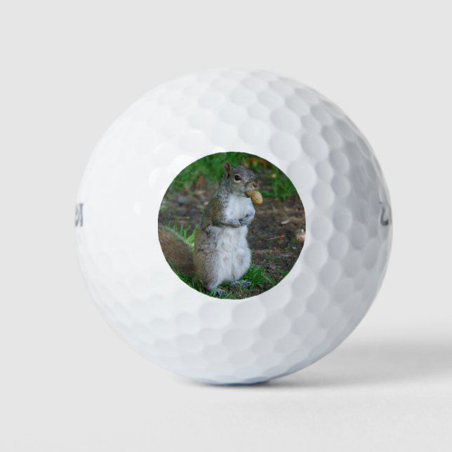 Pelotas De Golf Silly Squirrel (Anverso)